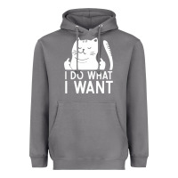 Storm i do what i want cat giving a finger funny middle finger rude graphic Heavyweight Hoodie - linhVisuals