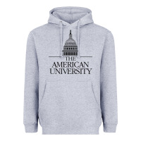 Heather Grey american university Heavyweight Hoodie - linhVisuals