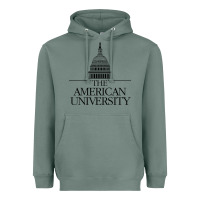 Sage american university Heavyweight Hoodie - linhVisuals
