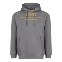 Storm University of Minnesota Duluth., Apparel Heavyweight Hoodie - linhVisuals
