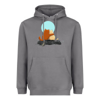 Storm two cats Heavyweight Hoodie - linhVisuals