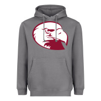 Storm lock haven bald eagles Heavyweight Hoodie - linhVisuals