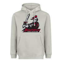 Moon Dust manhattanville valiants Heavyweight Hoodie - linhVisuals
