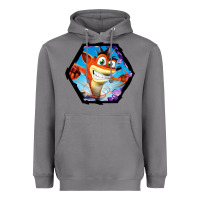 Storm CRASH BANDICOOT LEGENDS Heavyweight Hoodie - linhVisuals