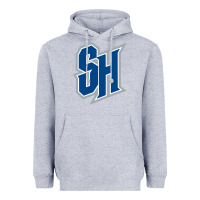 Heather Grey seton hall pirates Heavyweight Hoodie - linhVisuals