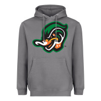 Storm down east wood ducks Heavyweight Hoodie - linhVisuals