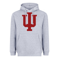 Heather Grey indiana gifts Heavyweight Hoodie - linhVisuals