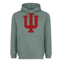 Sage indiana gifts Heavyweight Hoodie - linhVisuals