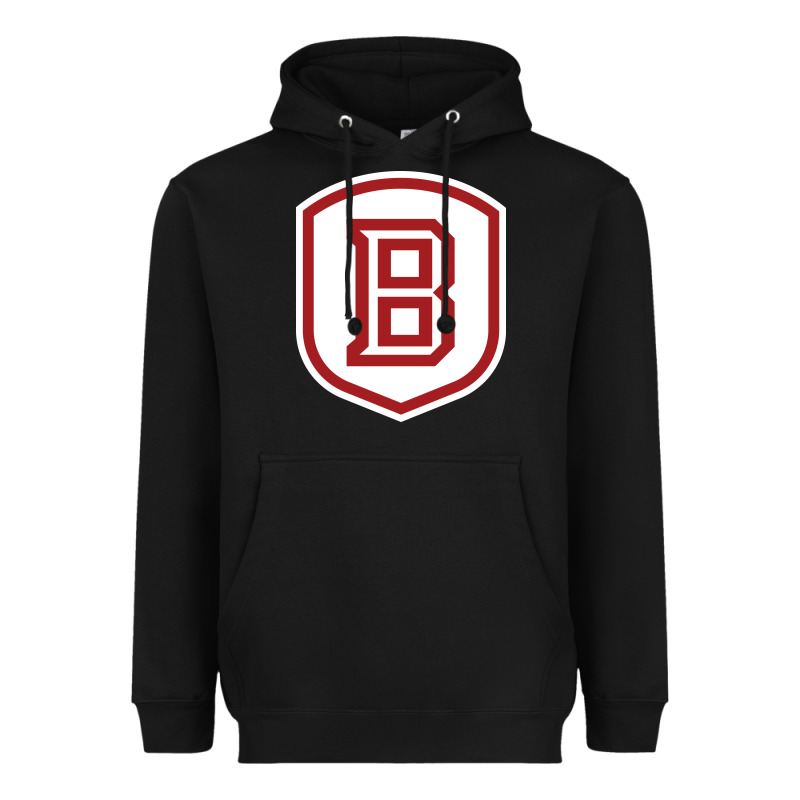 Bradley University Athletics Heavyweight Hoodie by linhVisuals | Teevron