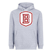 Heather Grey Bradley University Athletics Heavyweight Hoodie - linhVisuals