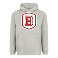 Moon Dust Bradley University Athletics Heavyweight Hoodie - linhVisuals