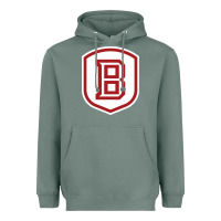 Sage Bradley University Athletics Heavyweight Hoodie - linhVisuals