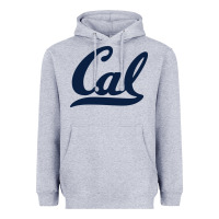 Heather Grey california golden bears Heavyweight Hoodie - linhVisuals
