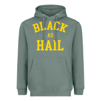 Sage as,hail,black,as,hail,black,as,hail,black,as,hail,black,as Heavyweight Hoodie - linhVisuals