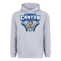 Heather Grey suny canton Heavyweight Hoodie - linhVisuals