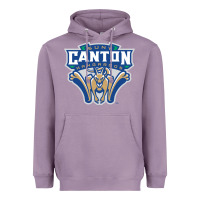 Lavender suny canton Heavyweight Hoodie - linhVisuals