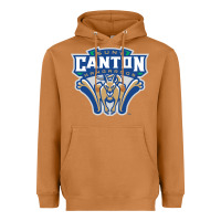Meerkat suny canton Heavyweight Hoodie - linhVisuals