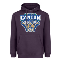 Plum suny canton Heavyweight Hoodie - linhVisuals