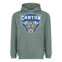 Sage suny canton Heavyweight Hoodie - linhVisuals