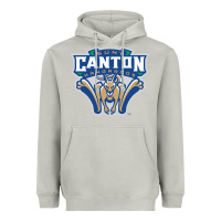 Moon Dust suny canton Heavyweight Hoodie - linhVisuals