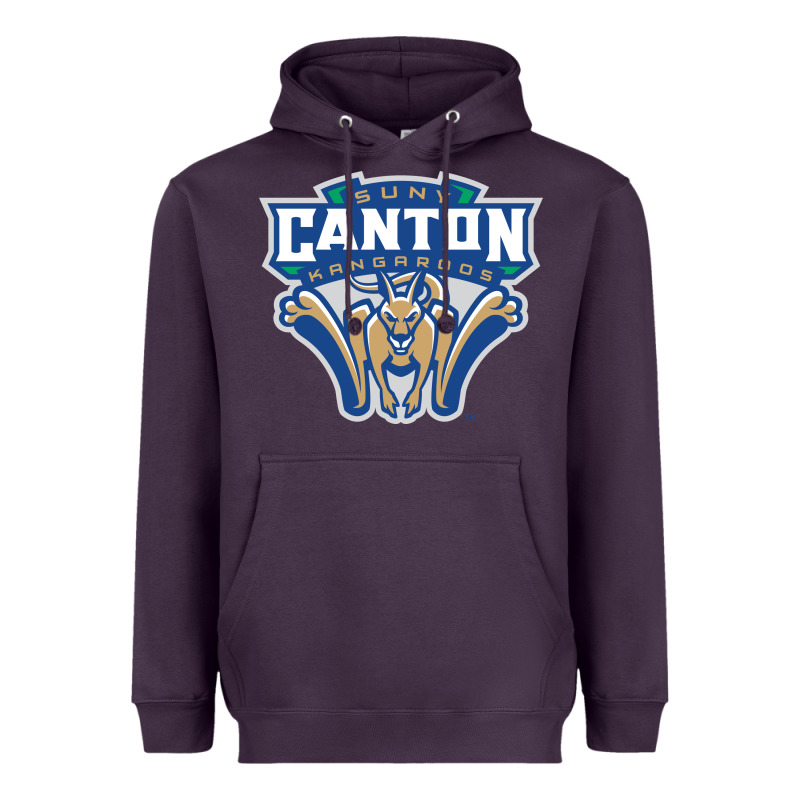 Suny Canton Heavyweight Hoodie by linhVisuals | Teevron