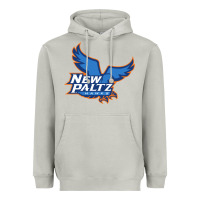 Moon Dust suny new paltz Heavyweight Hoodie - linhVisuals