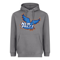 Storm suny new paltz Heavyweight Hoodie - linhVisuals