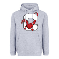 Heather Grey suny cortland red dragons Heavyweight Hoodie - linhVisuals