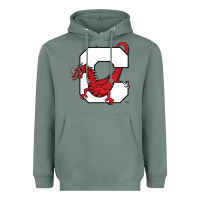 Sage suny cortland red dragons Heavyweight Hoodie - linhVisuals