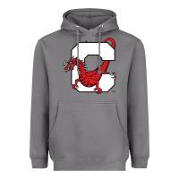 Storm suny cortland red dragons Heavyweight Hoodie - linhVisuals