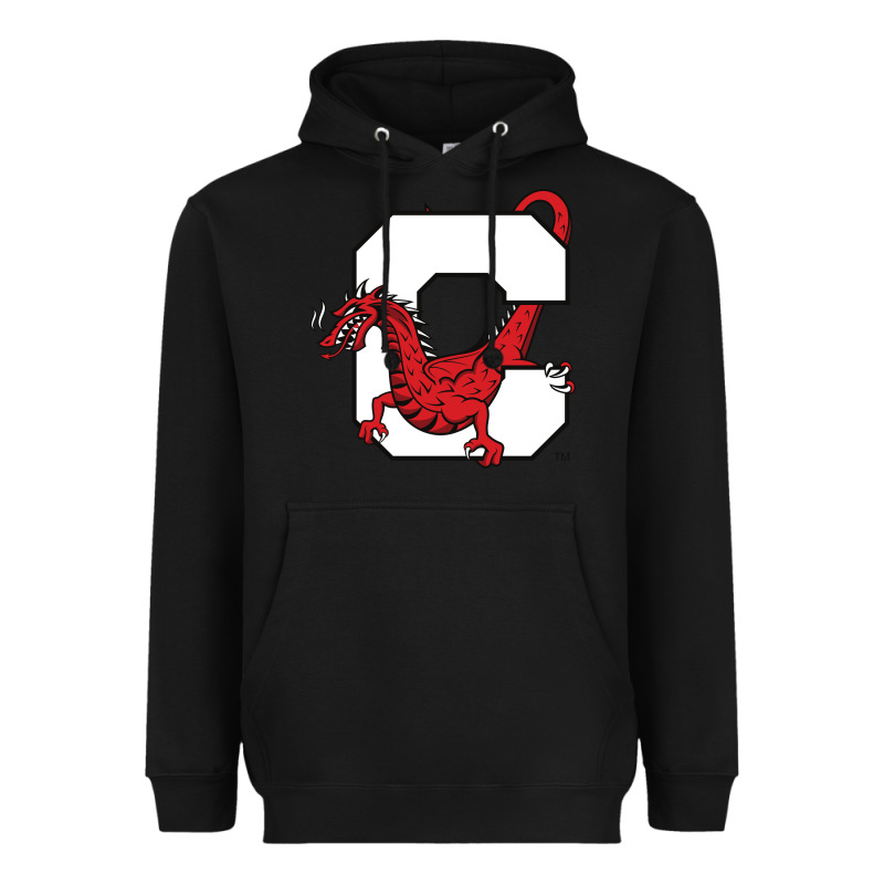 Suny Cortland Red Dragons Heavyweight Hoodie by linhVisuals | Teevron