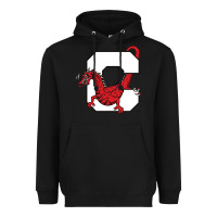 Black suny cortland red dragons Heavyweight Hoodie - linhVisuals
