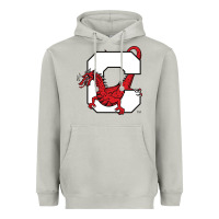 Moon Dust suny cortland red dragons Heavyweight Hoodie - linhVisuals