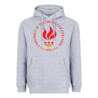 Heather Grey university of the district of columbia Heavyweight Hoodie - linhVisuals