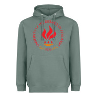 Sage university of the district of columbia Heavyweight Hoodie - linhVisuals