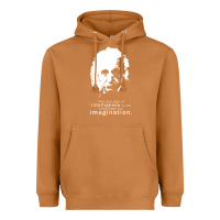 Meerkat albert einstein quote1 Heavyweight Hoodie - linhVisuals