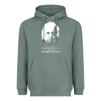 Sage albert einstein quote1 Heavyweight Hoodie - linhVisuals