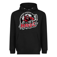 Black huntsville havoc Heavyweight Hoodie - linhVisuals