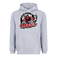 Heather Grey huntsville havoc Heavyweight Hoodie - linhVisuals