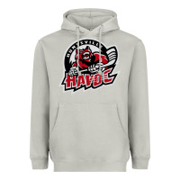 Moon Dust huntsville havoc Heavyweight Hoodie - linhVisuals