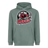 Sage huntsville havoc Heavyweight Hoodie - linhVisuals
