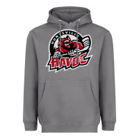 Storm huntsville havoc Heavyweight Hoodie - linhVisuals