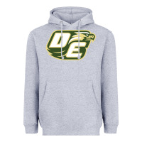 Heather Grey desoto high school, desoto Heavyweight Hoodie - linhVisuals