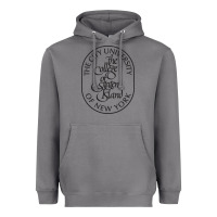 College Of Staten Island Heavyweight Hoodie | Teevron