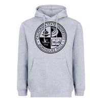 Heather Grey Csu Dominguez Hills Heavyweight Hoodie - linhVisuals