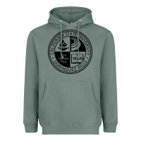 Sage Csu Dominguez Hills Heavyweight Hoodie - linhVisuals