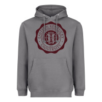 Storm Eastern Kentucky University Heavyweight Hoodie - linhVisuals