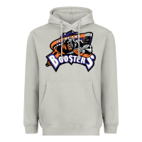 Moon Dust knoxville ice bears Heavyweight Hoodie - linhVisuals