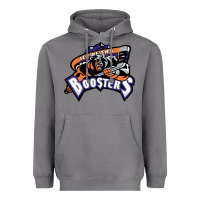 Storm knoxville ice bears Heavyweight Hoodie - linhVisuals