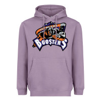 Lavender knoxville ice bears Heavyweight Hoodie - linhVisuals